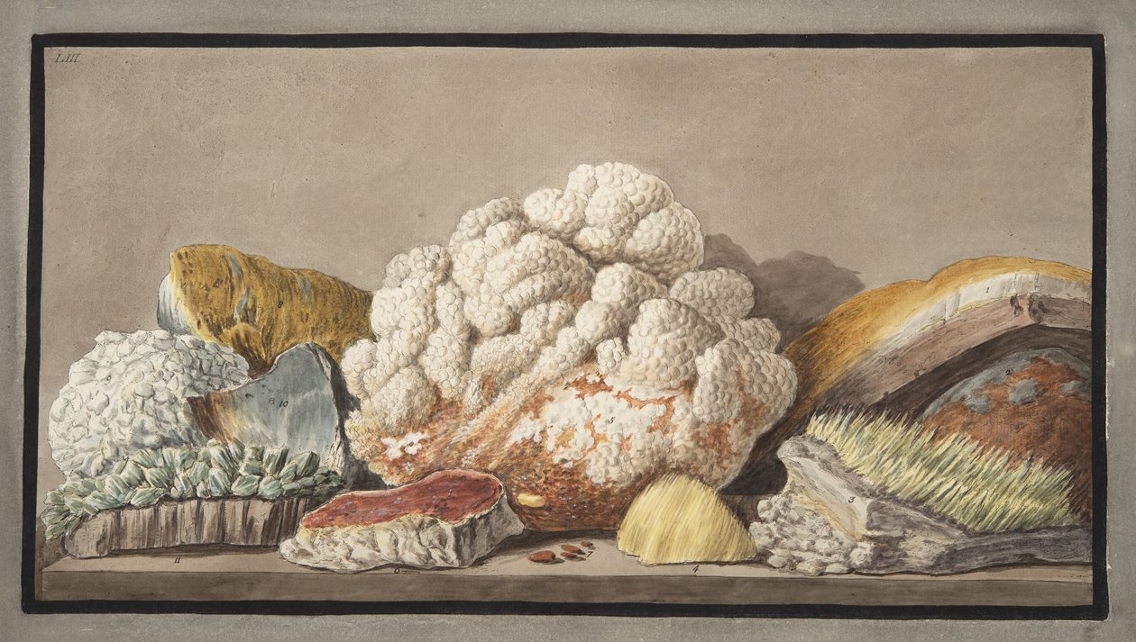 Produkce Solfaterry, deska 9 z "Campi Phlegraei: Sir William Hamilton (1730-1803), vydáno v roce 1776. od Pietro Fabris