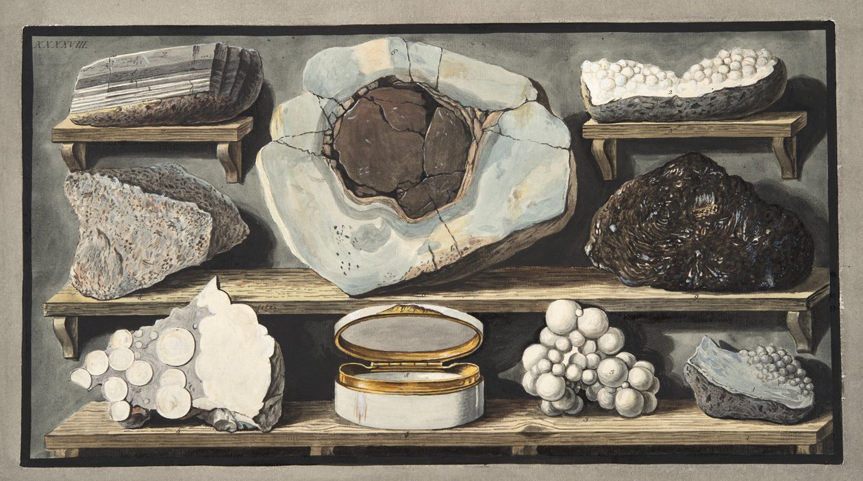 Ukázky zvláštních kamenů nalezených autorem na Vesuvu, deska XXXXVIII, z "Campi Phlegraei: Hamilton (1730-1803), publikovaná v časopise "Observations on Volcanoes of the Two Sicilies" (Pozorování sopek na obou Sicíliích). od Pietro Fabris