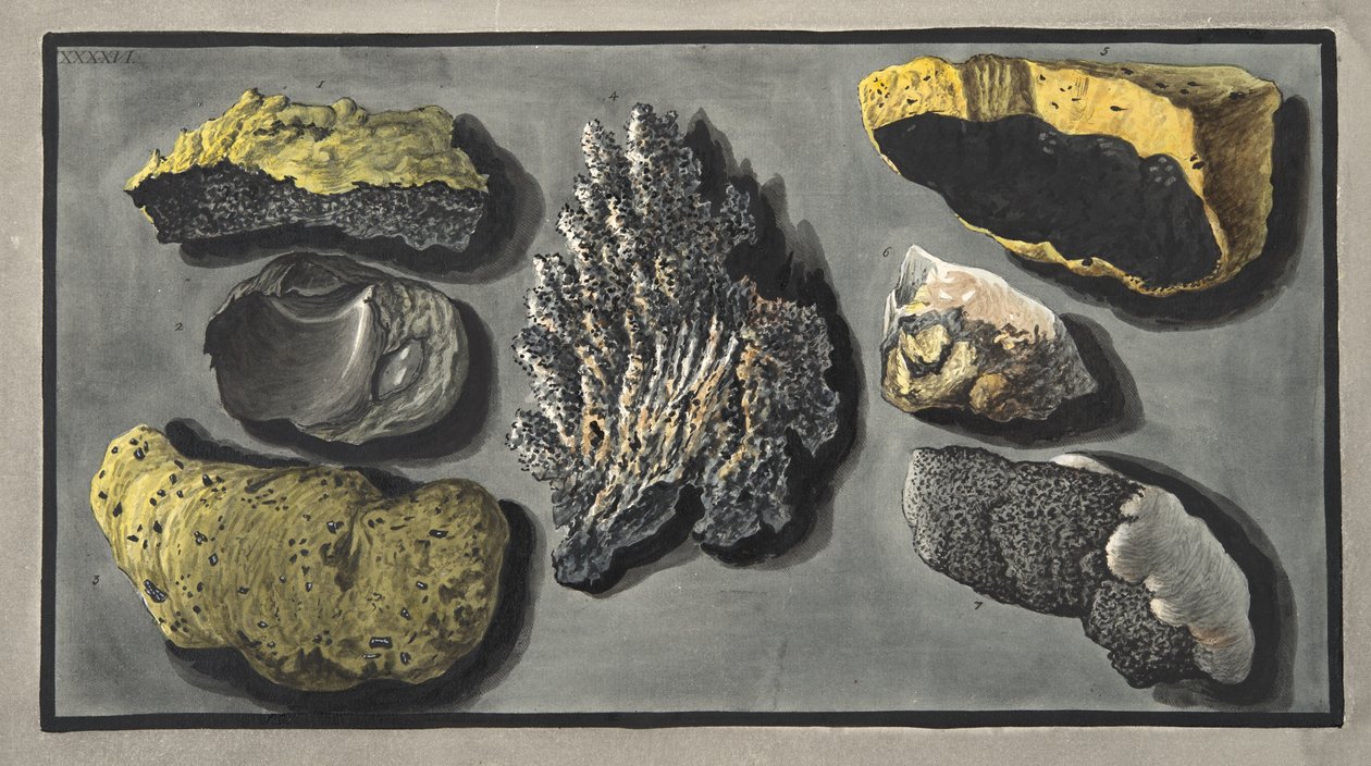 Vzorky sopečné hmoty nalezené v kráteru Vesuvu, deska XXXXVI, z „Campi Phlegraei: Observations on the Volcanoes of the Two Sicilies“, od Sira Williama Hamiltona (1730-1803), publikované 17. od Pietro Fabris