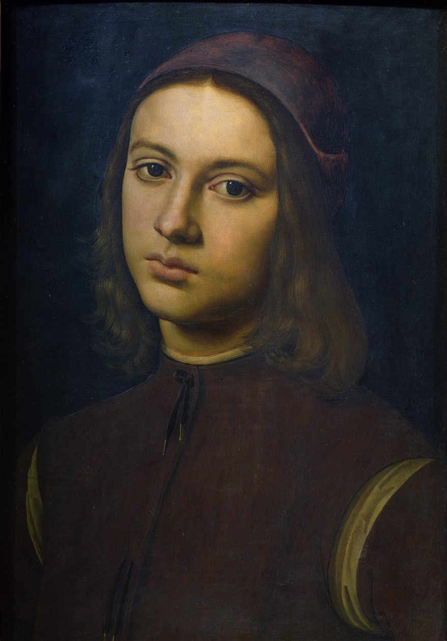 Portrét mladého muže, 1495 od Pietro Perugino