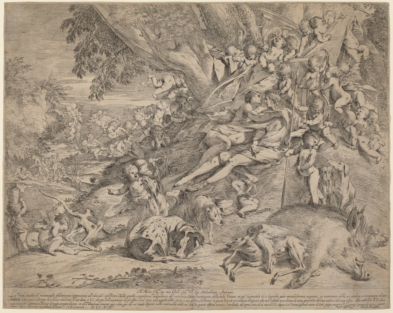 Venuše a Adonis od Pietro Testa