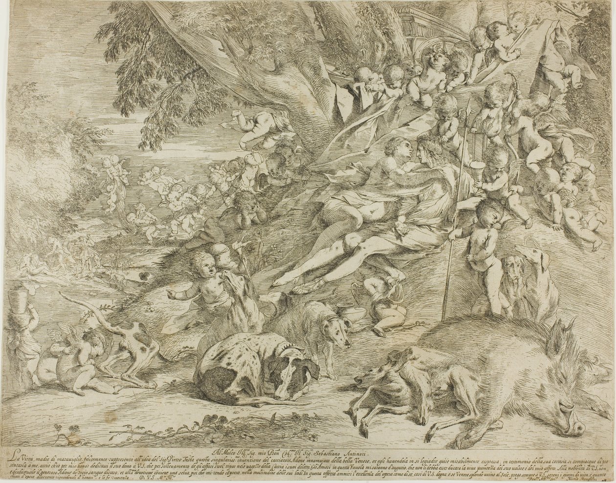 Venuše a Adonis od Pietro Testa