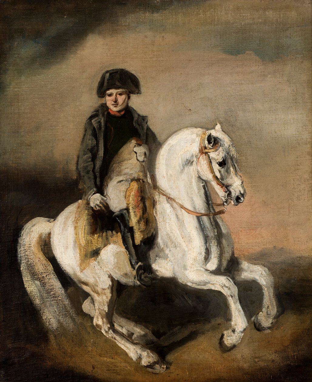 Napoleon na koni (olej na plátně) od Piotr Michalowski