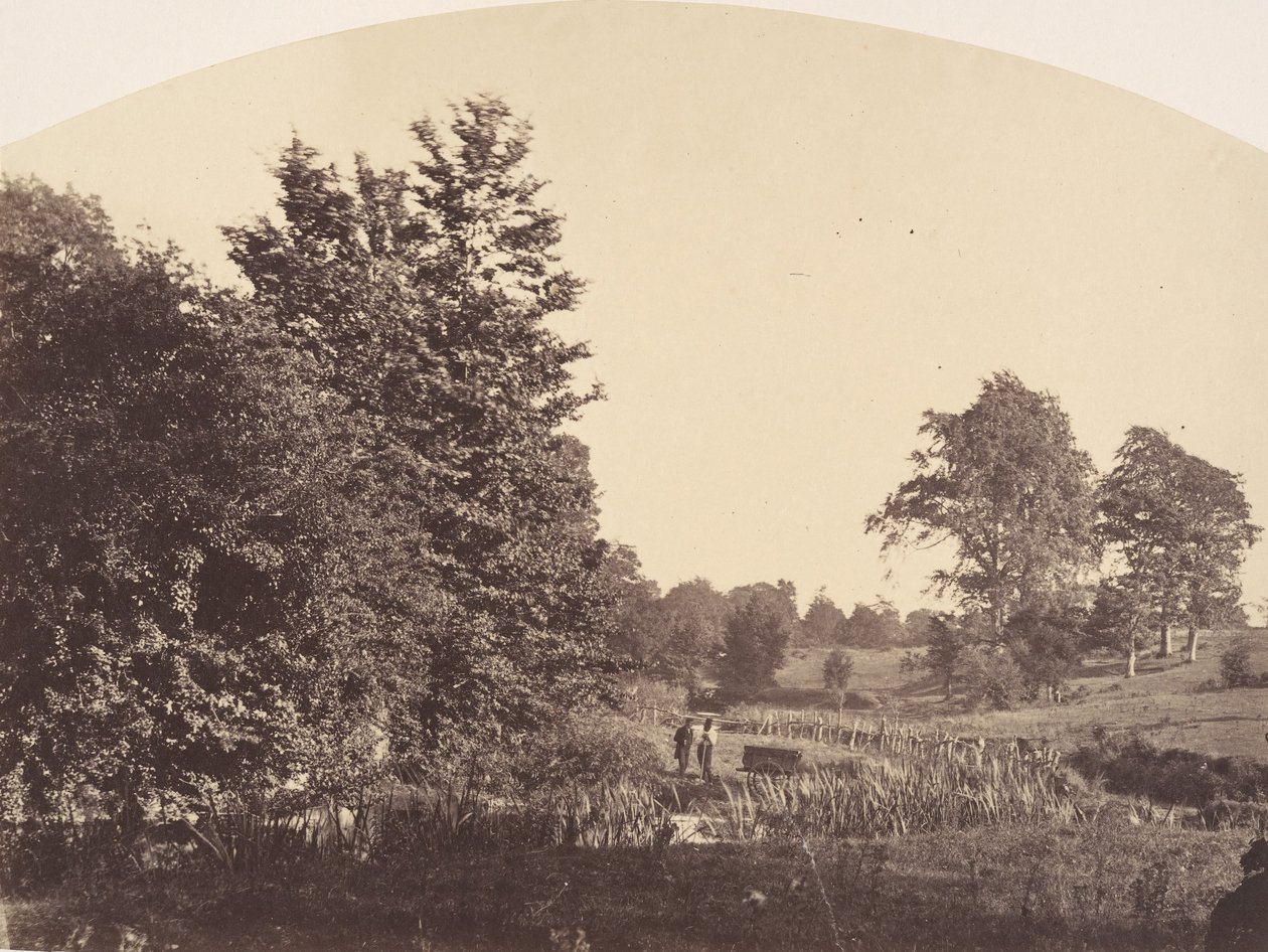 The Woodland Stream, 1856. od Plunket