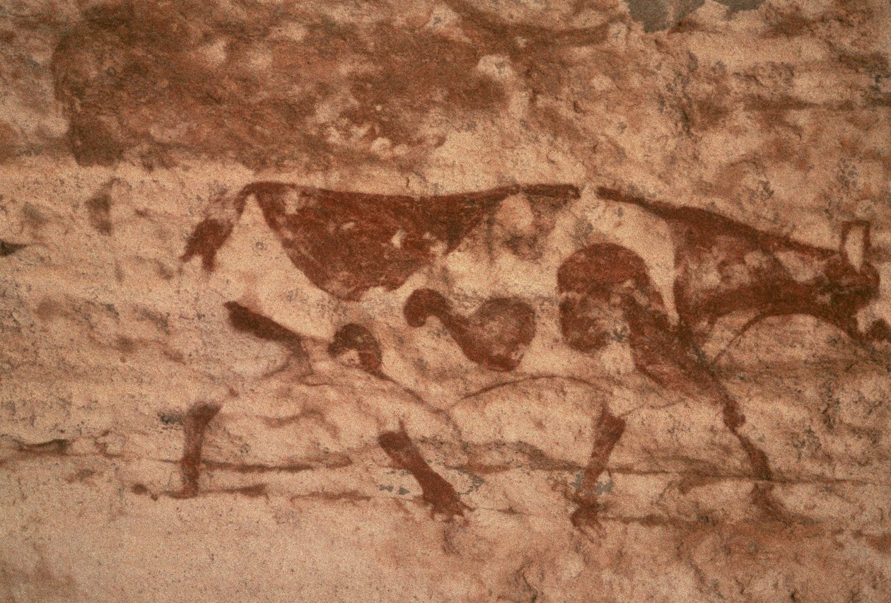 Kráva (nástěnná malba) od Prehistoric