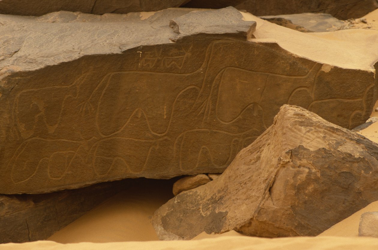 Zvířata (řezba do kamene) od Prehistoric