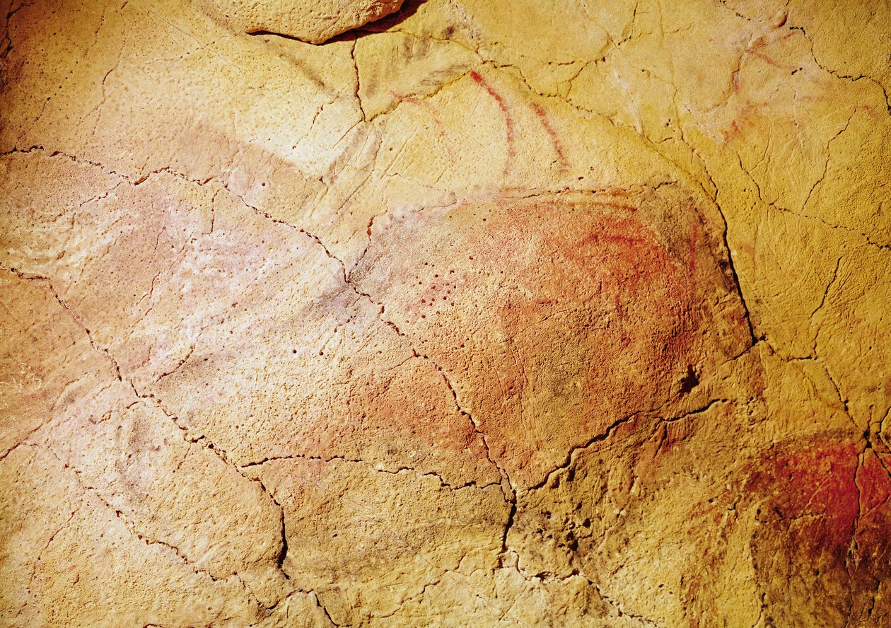 Bison, z jeskyní v Altamiře, cca 15 000 př. n. l. (jeskynní malba) od Prehistoric