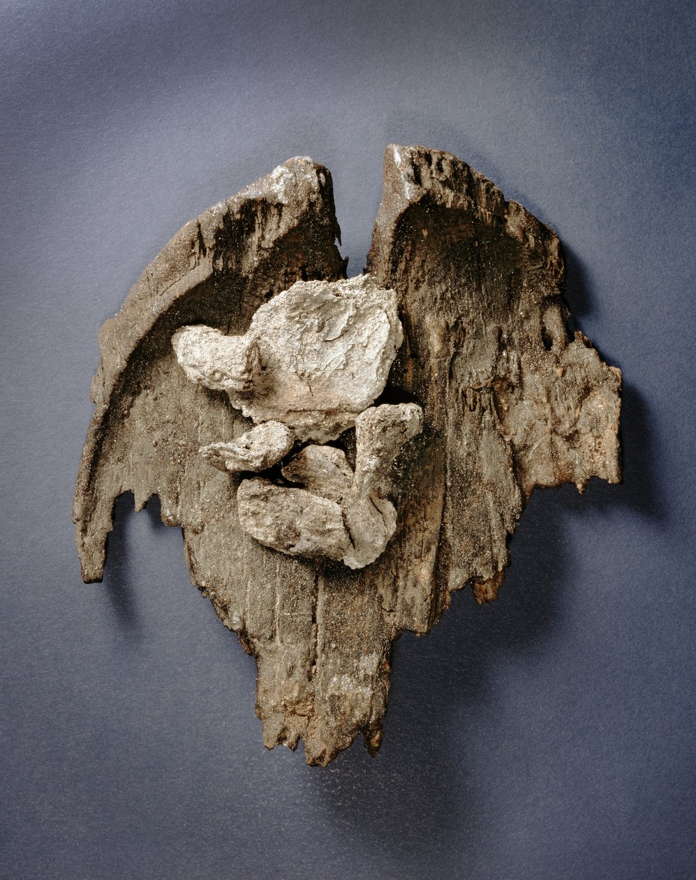 Fragment prehistorické misky se zbytky masa, Hrobka G73, Jericho, (dřevo) od Prehistoric
