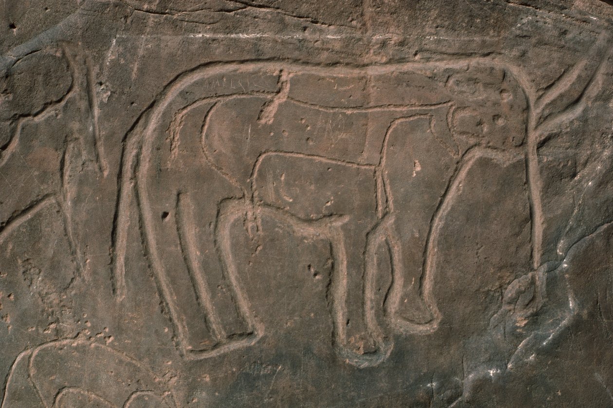 Mamut (skalní řezba) od Prehistoric