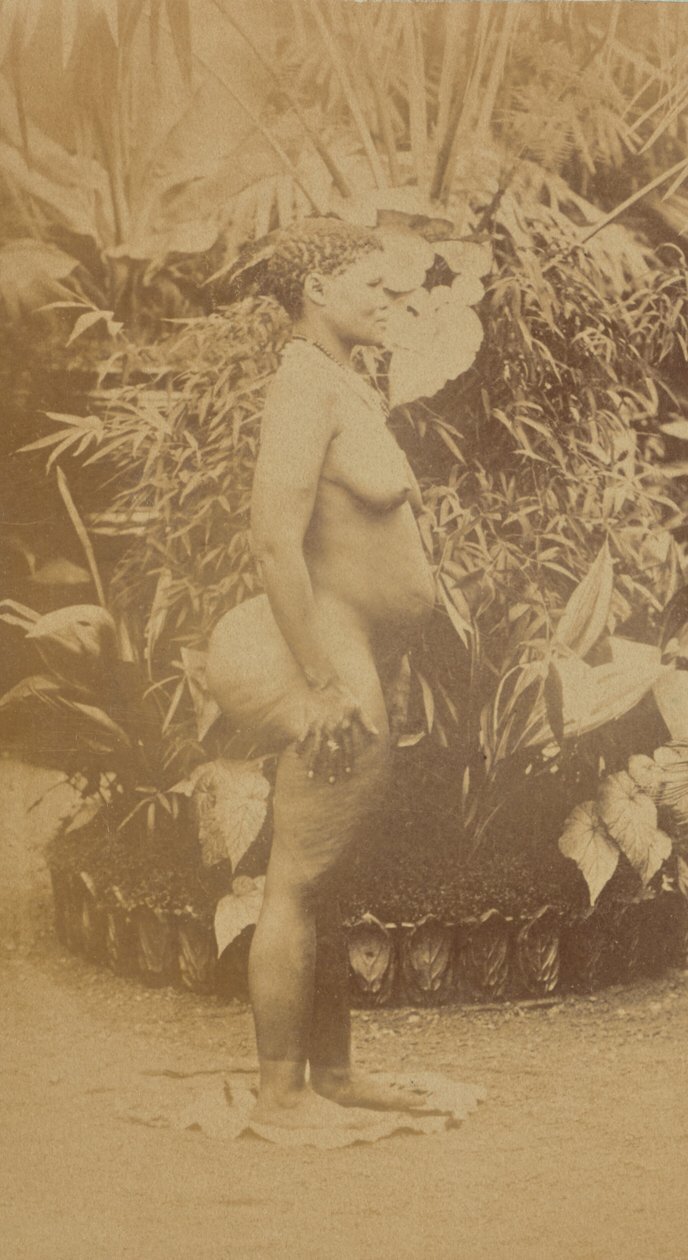 [Jihoafrická žena, akt] od Prince Roland Napoleon Bonaparte