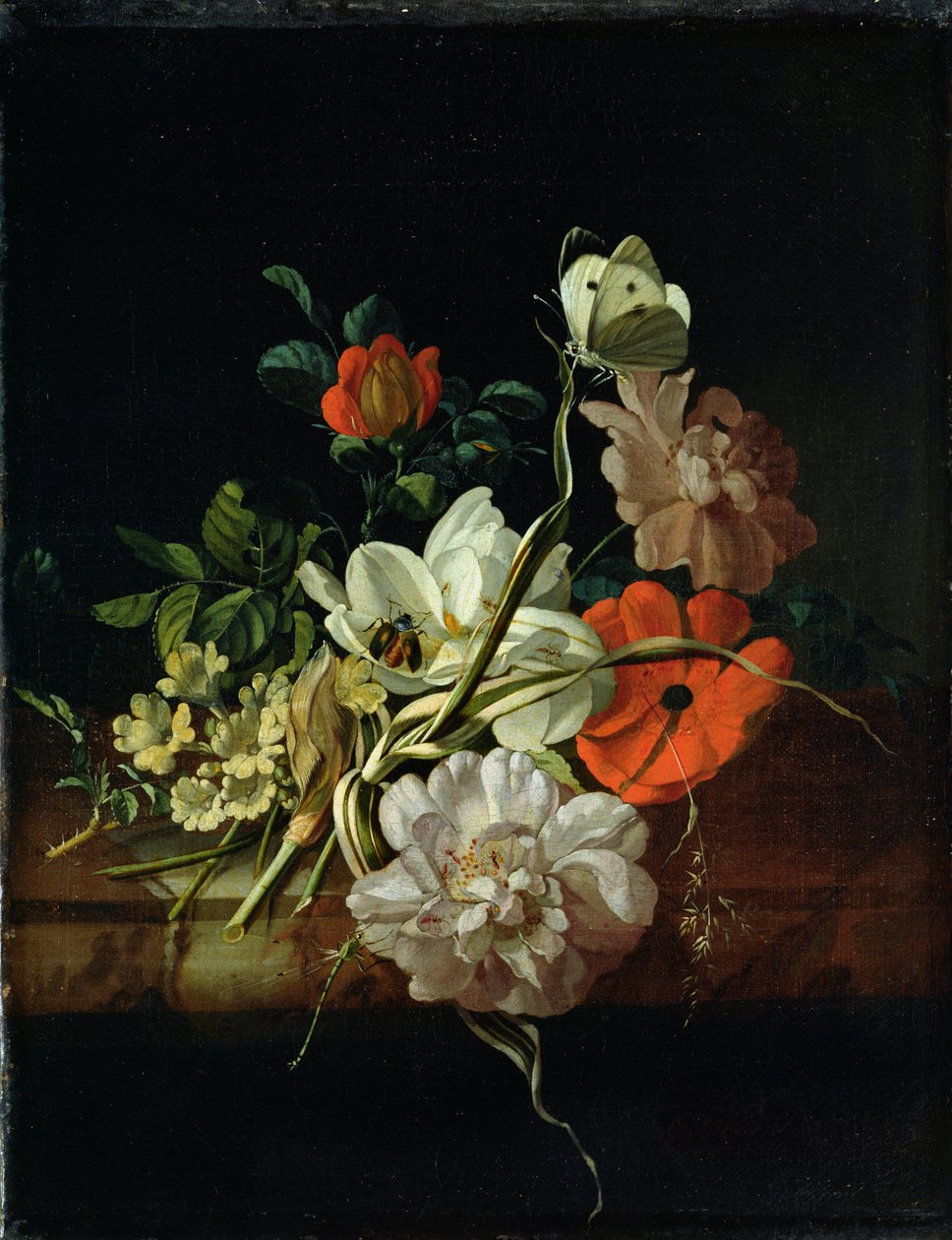 Zátiší s květinami od Rachel Ruysch