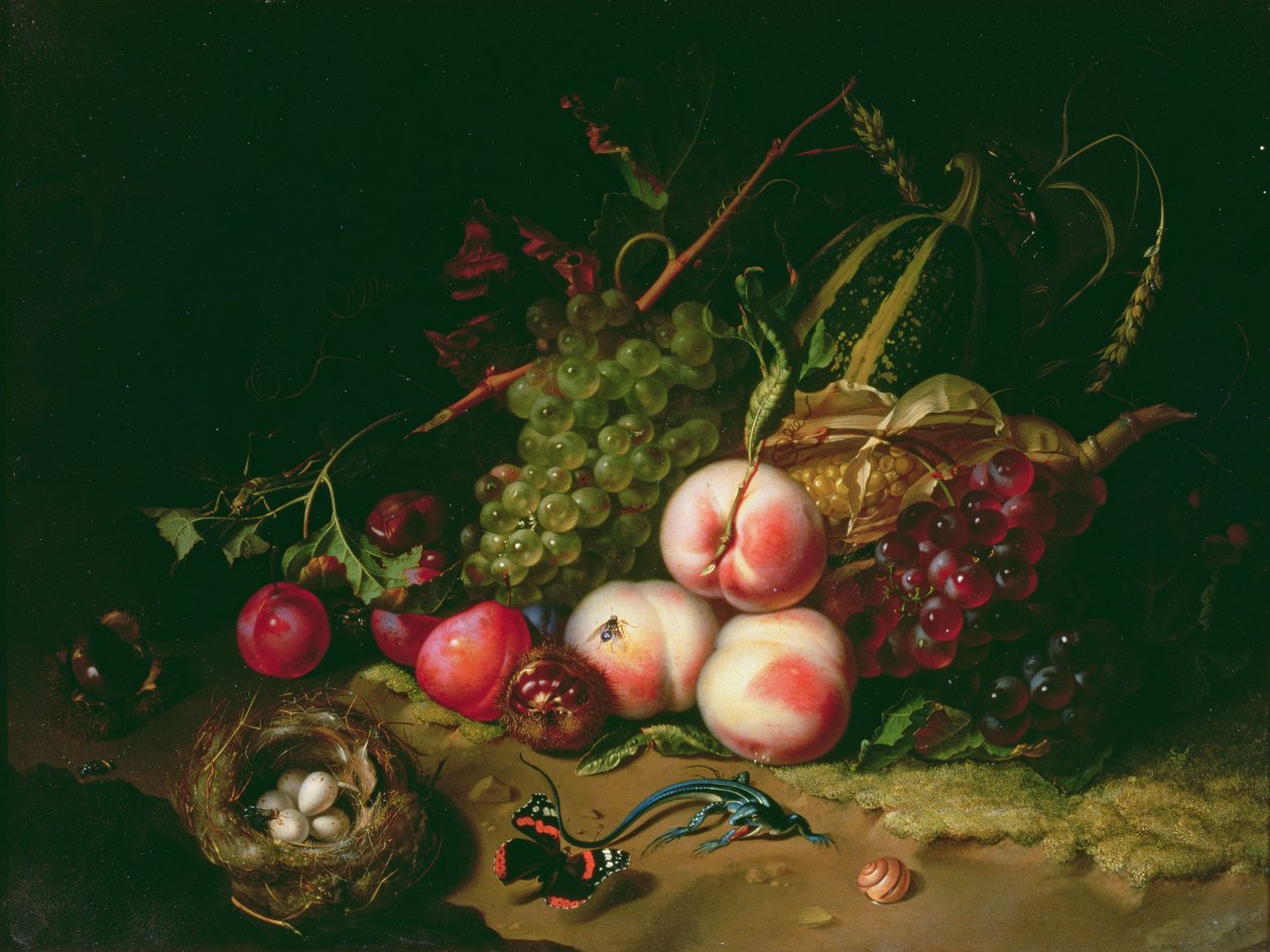 Zátiší s ovocem (panel) od Rachel Ruysch