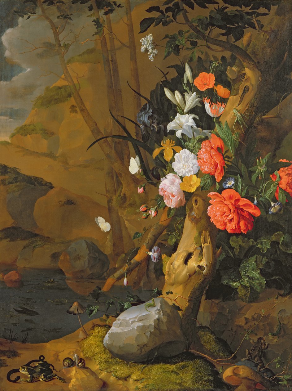 Neznámý obrázek od Rachel Ruysch