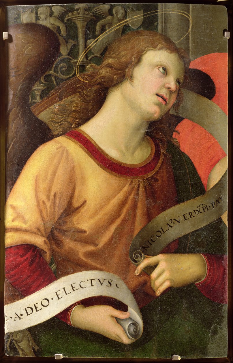 Anděl, z polyptychu svatého Mikuláše z Tolentina, 1501 od Raffaello Sanzio Raphael