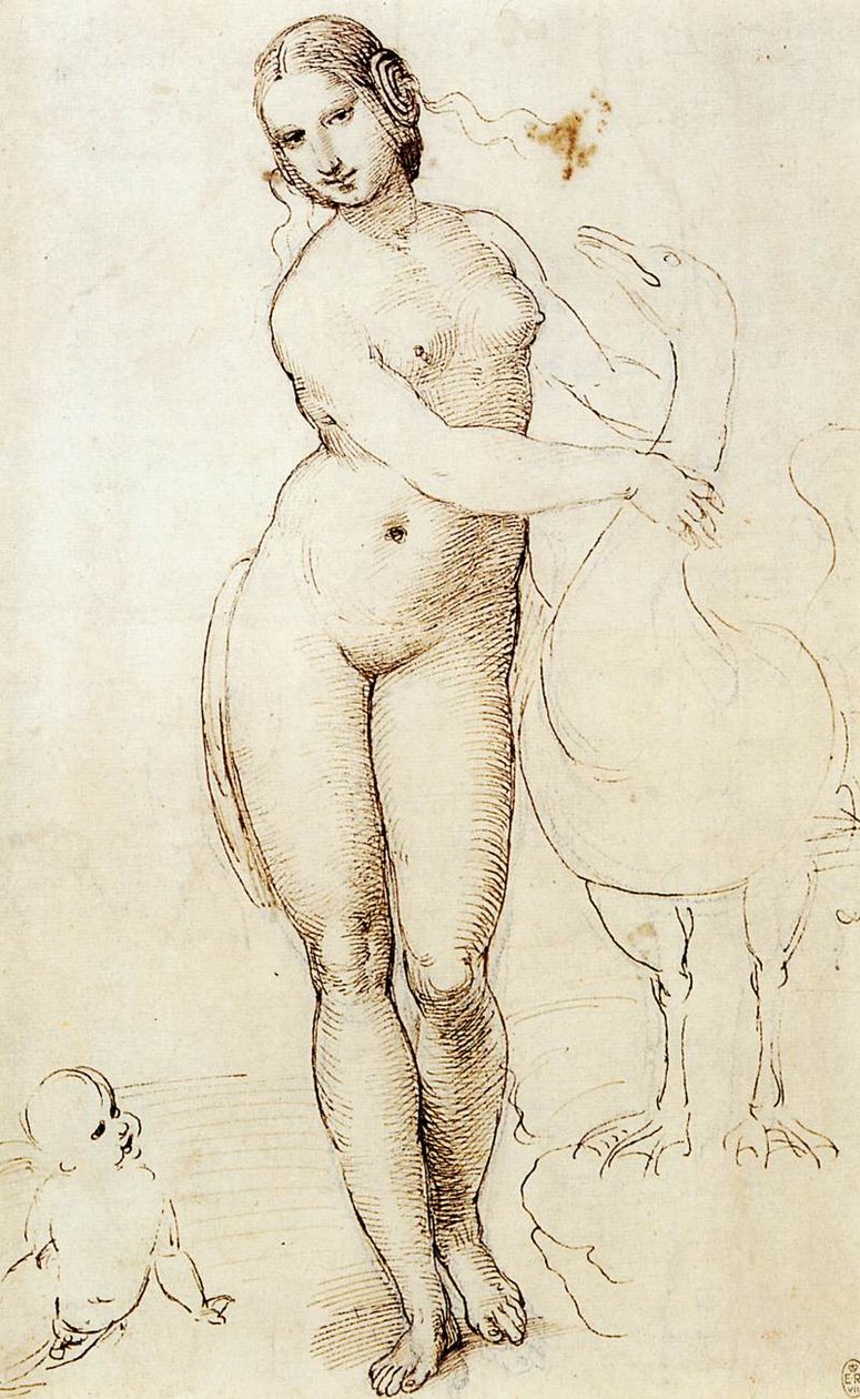 Leda a labuť od Raffaello Sanzio Raphael