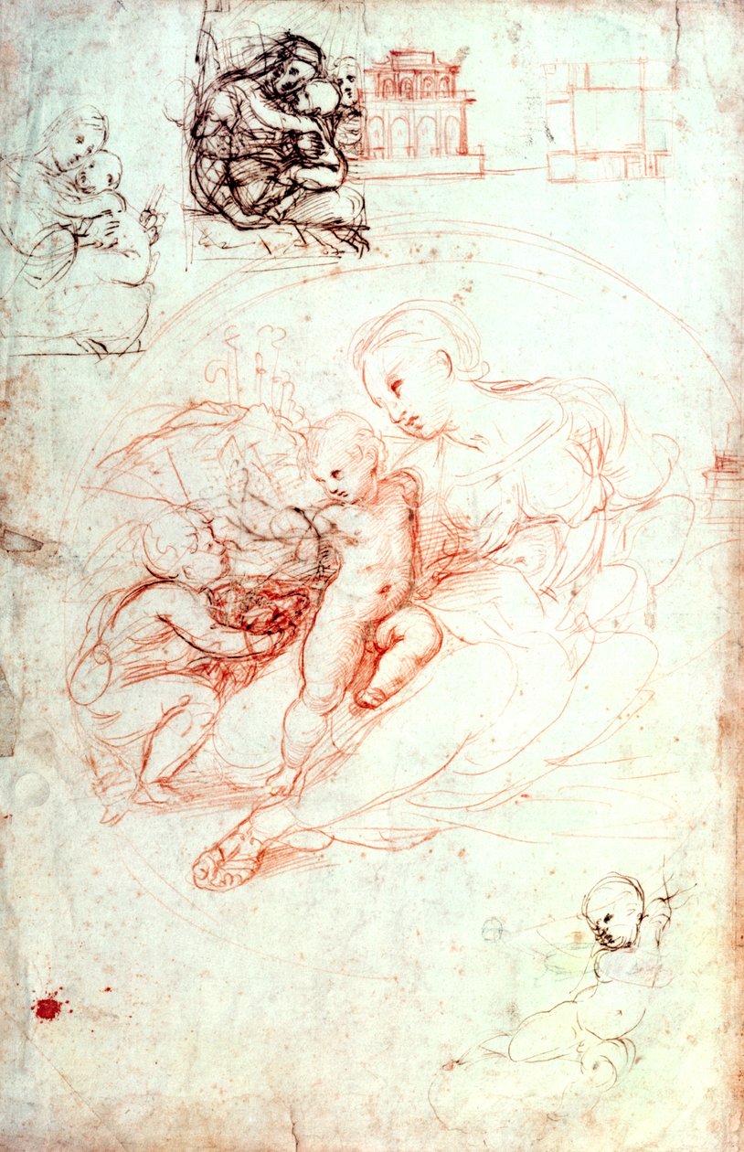 Studie pro Alba Madonna, c.1508-09 od Raffaello Sanzio Raphael