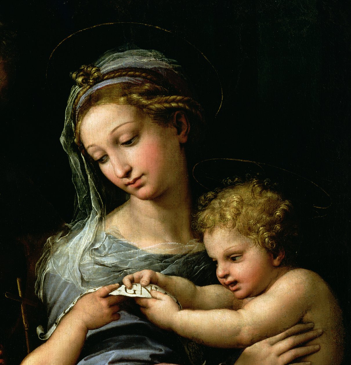 Panna z růže, kolem 1518 (detail 3423) od Raffaello Sanzio Raphael
