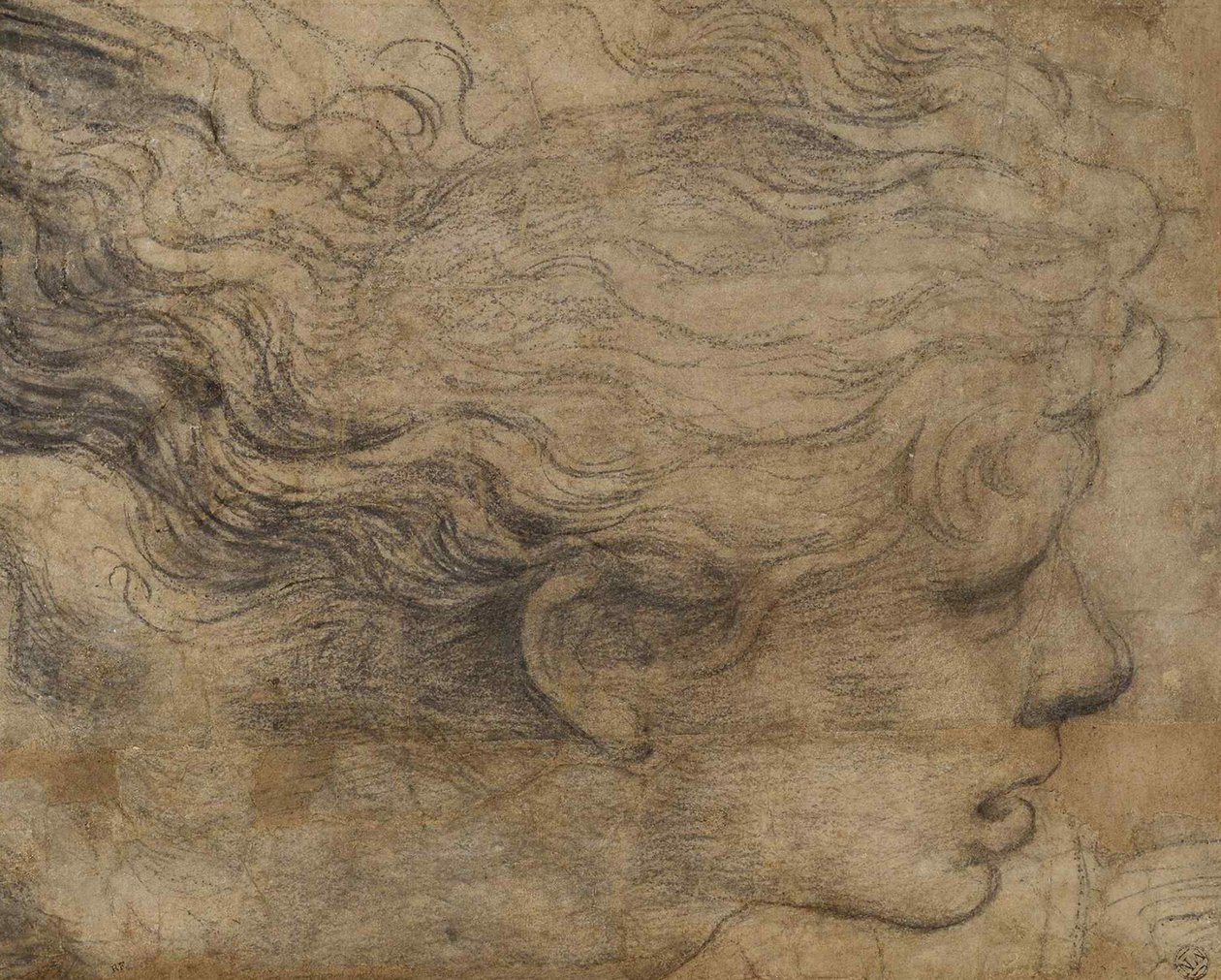 Hlava anděla. od Raffaello Sanzio Raphael