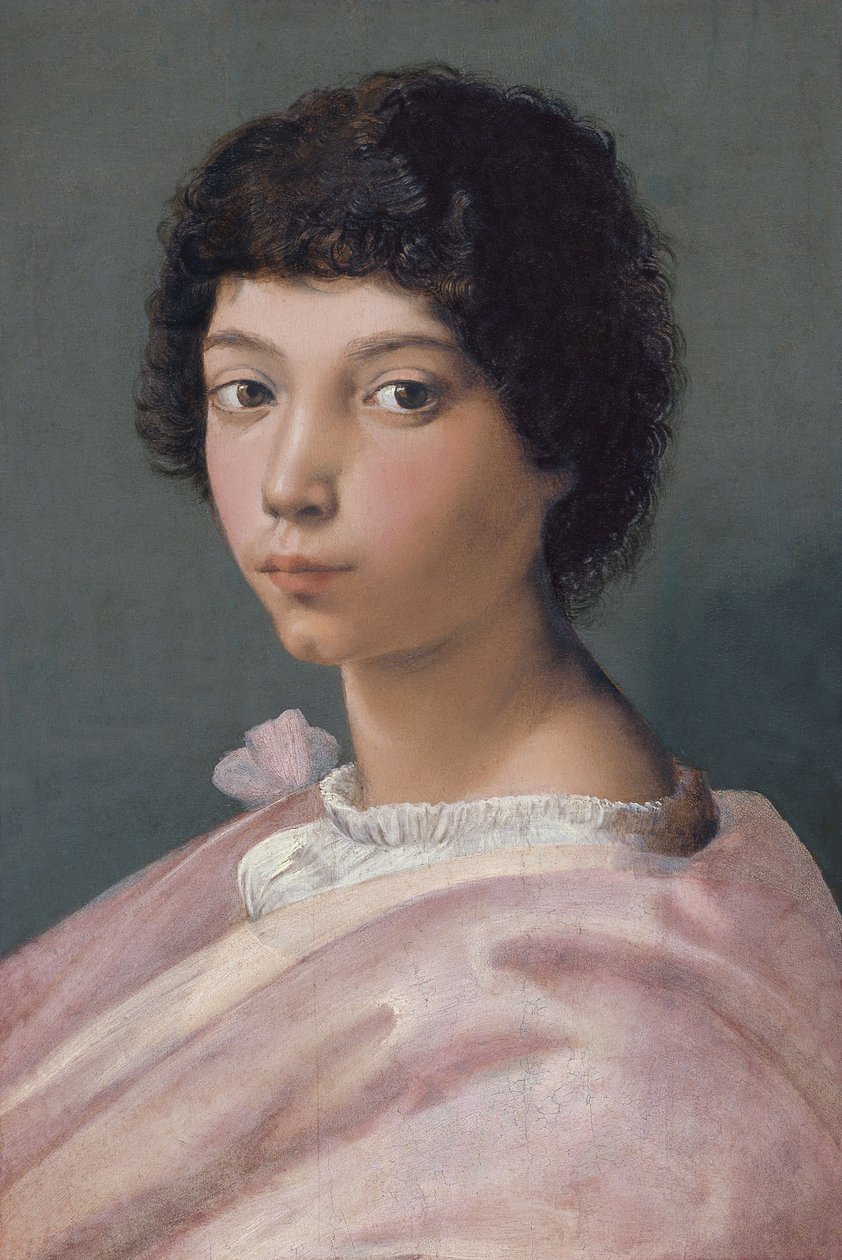 Portrét mladého muže od Raffaello Sanzio Raphael