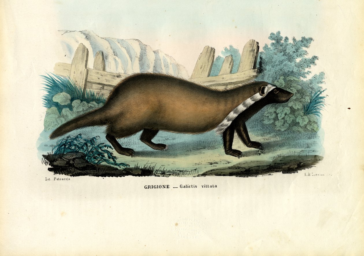 Greater Graubünden, 1863-79 od Raimundo Petraroja