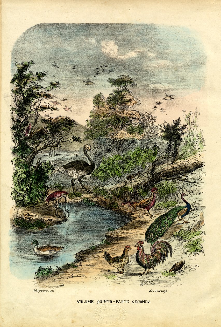Titulní strana, 1863-79 od Raimundo Petraroja