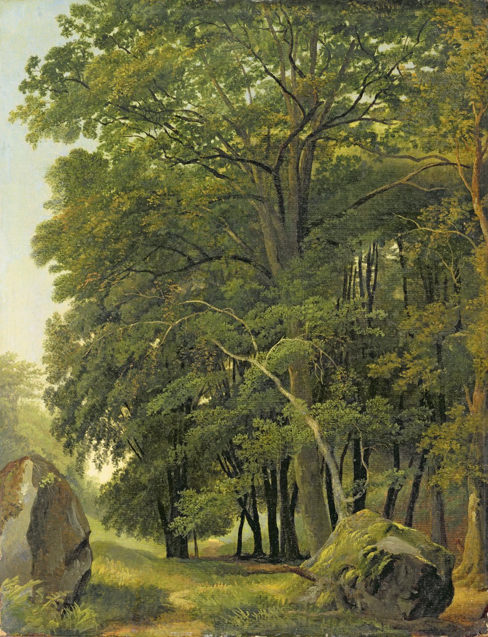 Zalesněná krajina (olej na papíře na panelu) od Ramsay Richard Reinagle