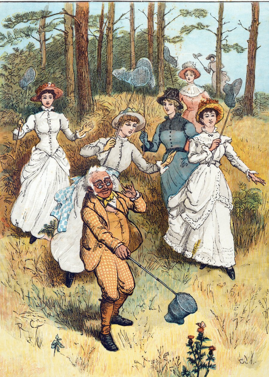The Professor