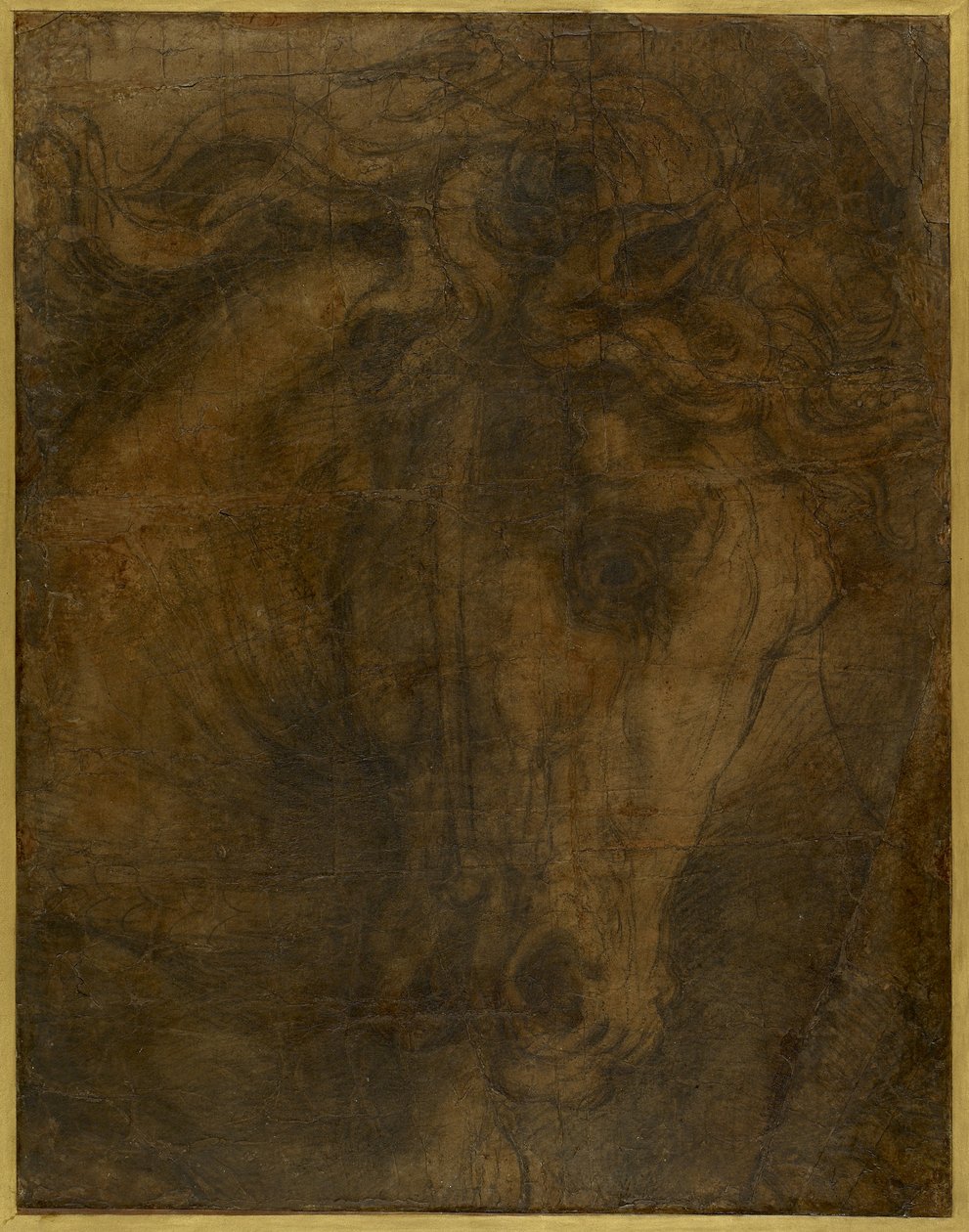 Hlava koně, WA1846.197 od Raffaello Sanzio Raphael