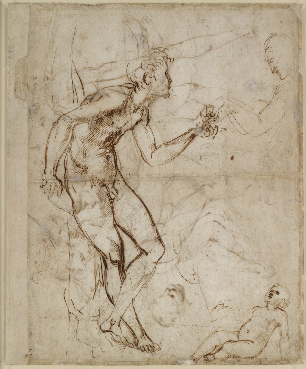 Verso: Adam tempted, WA1846.180 od Raffaello Sanzio Raphael