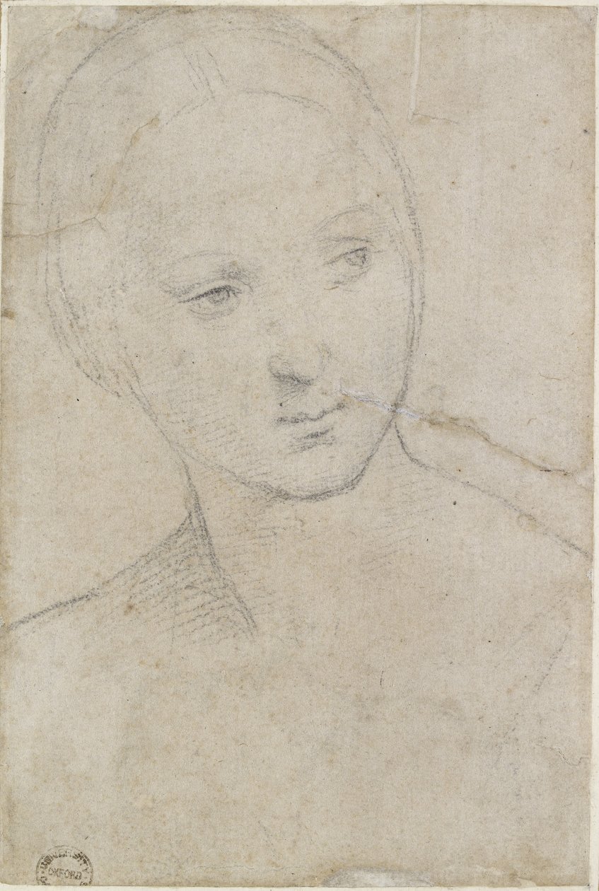 Recto: Studie hlavy mladé ženy, WA1846.157 (černá křída na špinavě bílém papíře) od Raffaello Sanzio Raphael