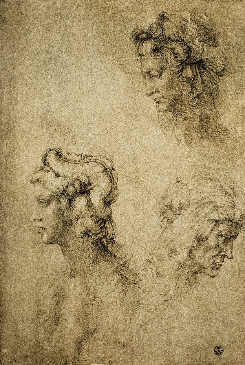 Studie ženských hlav, kresba Raphael; Gabinetto dei Disegni e delle Stampe, Galerie Uffizi, Florencie od Raffaello Sanzio Raphael
