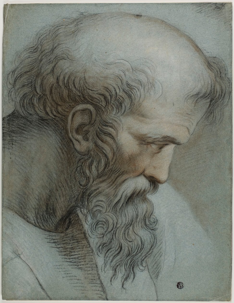 Hlava Pythagora od Raphael