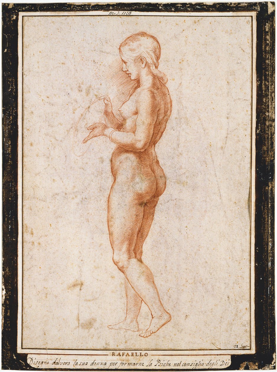 Mladá ženská postava z profilu, cca 1517. od Raphael