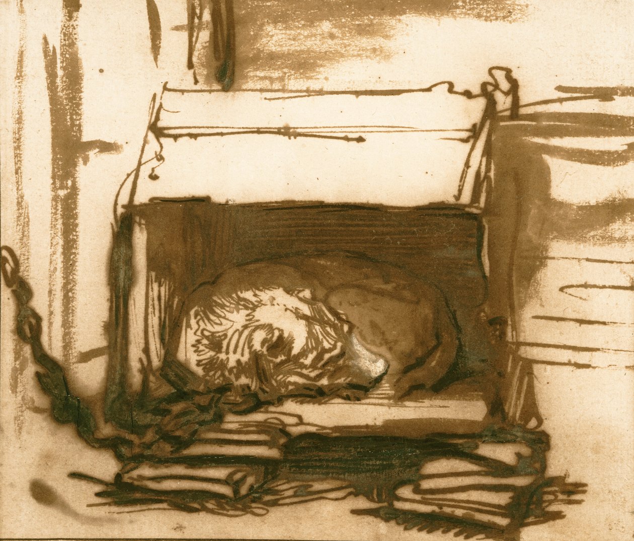 Spící hlídací pes od Rembrandt van Rijn