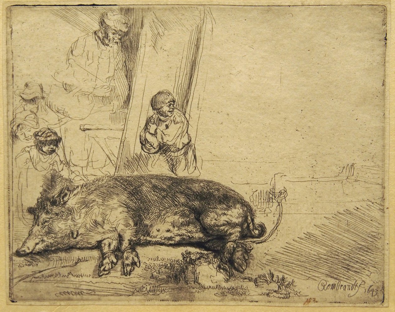 Prase od Rembrandt van Rijn