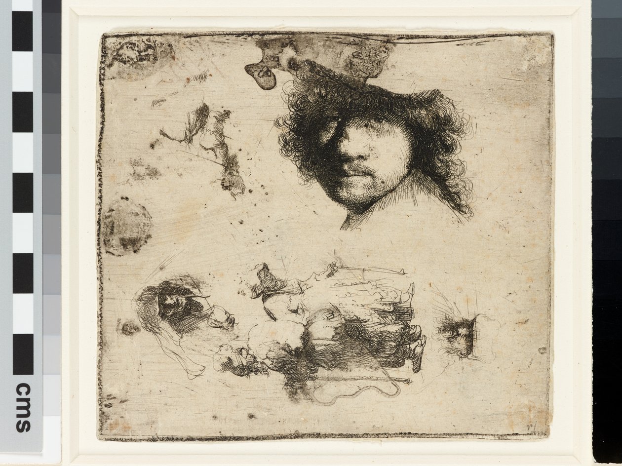 List studií od Rembrandt van Rijn