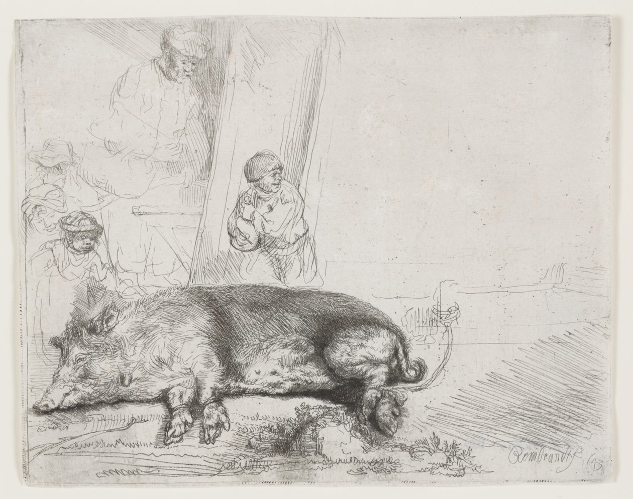 Prase od Rembrandt van Rijn