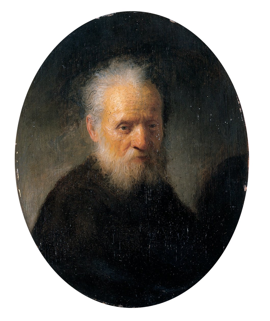 Vousatý stařík od Rembrandt van Rijn