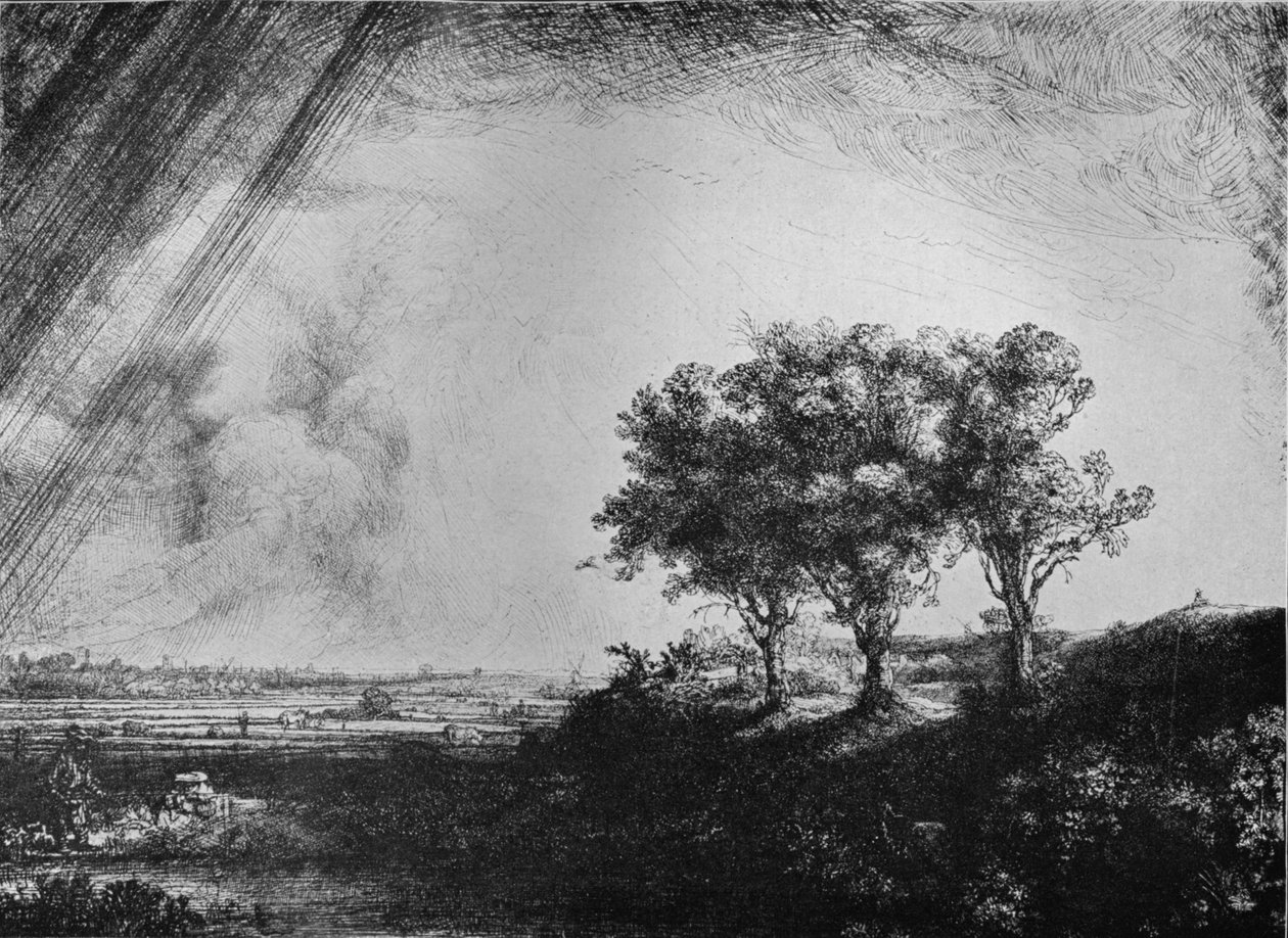 Tři stromy, 1643 od Rembrandt van Rijn