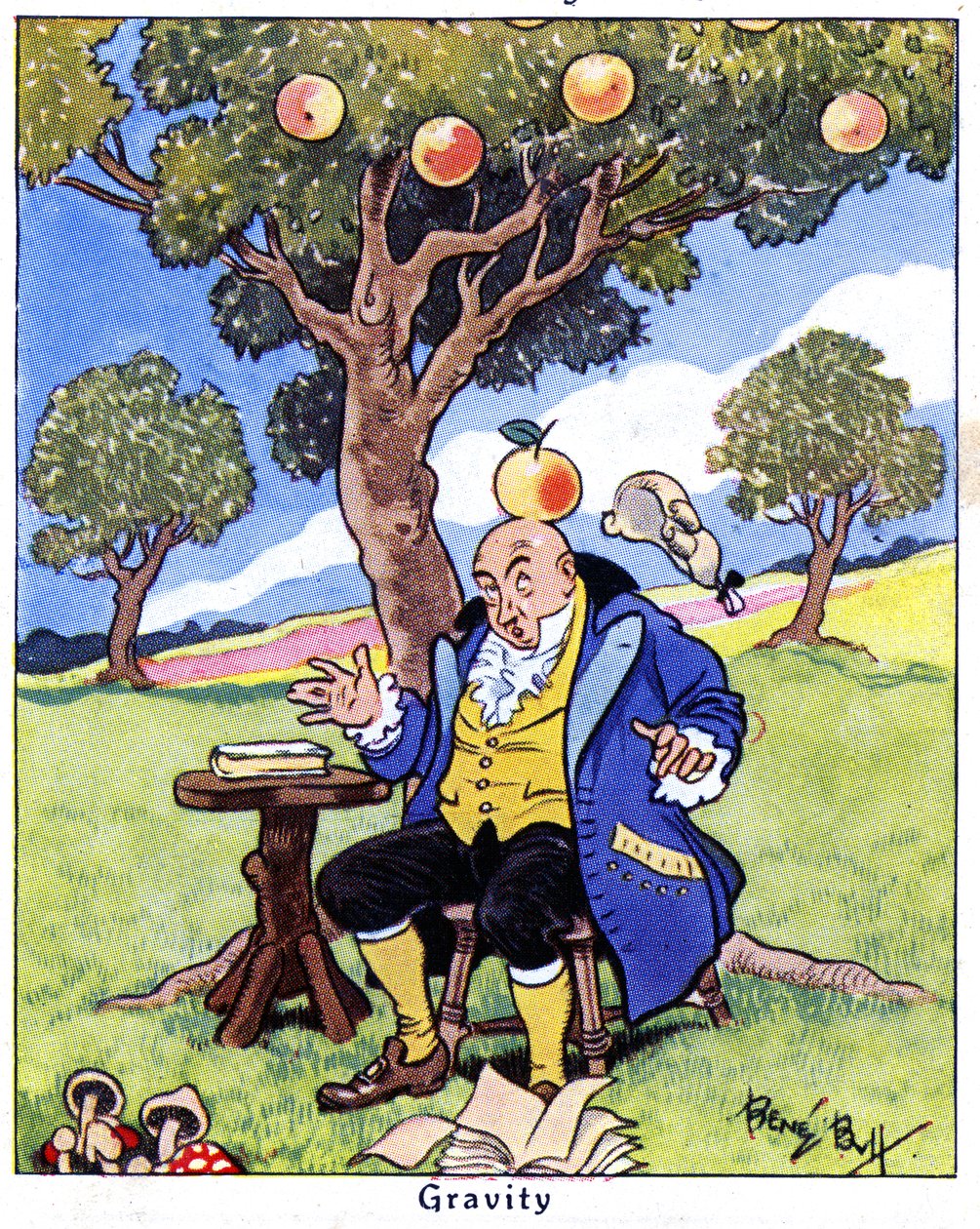 Isaac Newton objevuje gravitaci, 1936 od René Bull