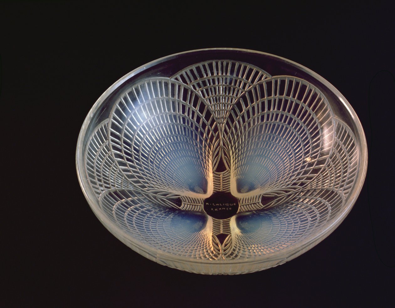 Coquilles, opalescentní skleněná váza lisovaná s překrývajícími lasturami od Lalique od Rene Jules Lalique