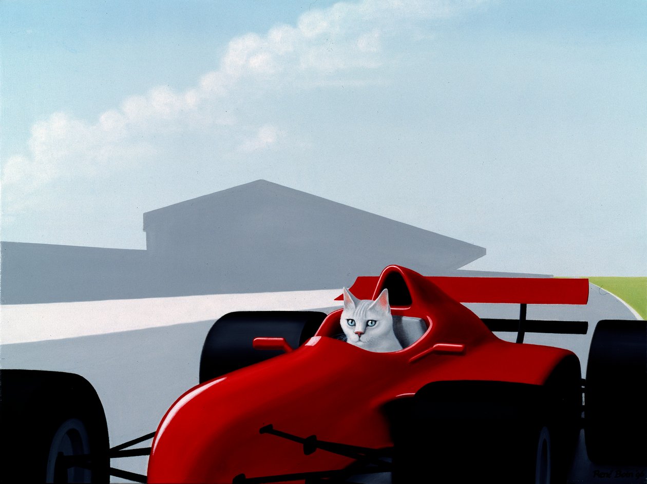 Kočka formule 1 od Rene Boin