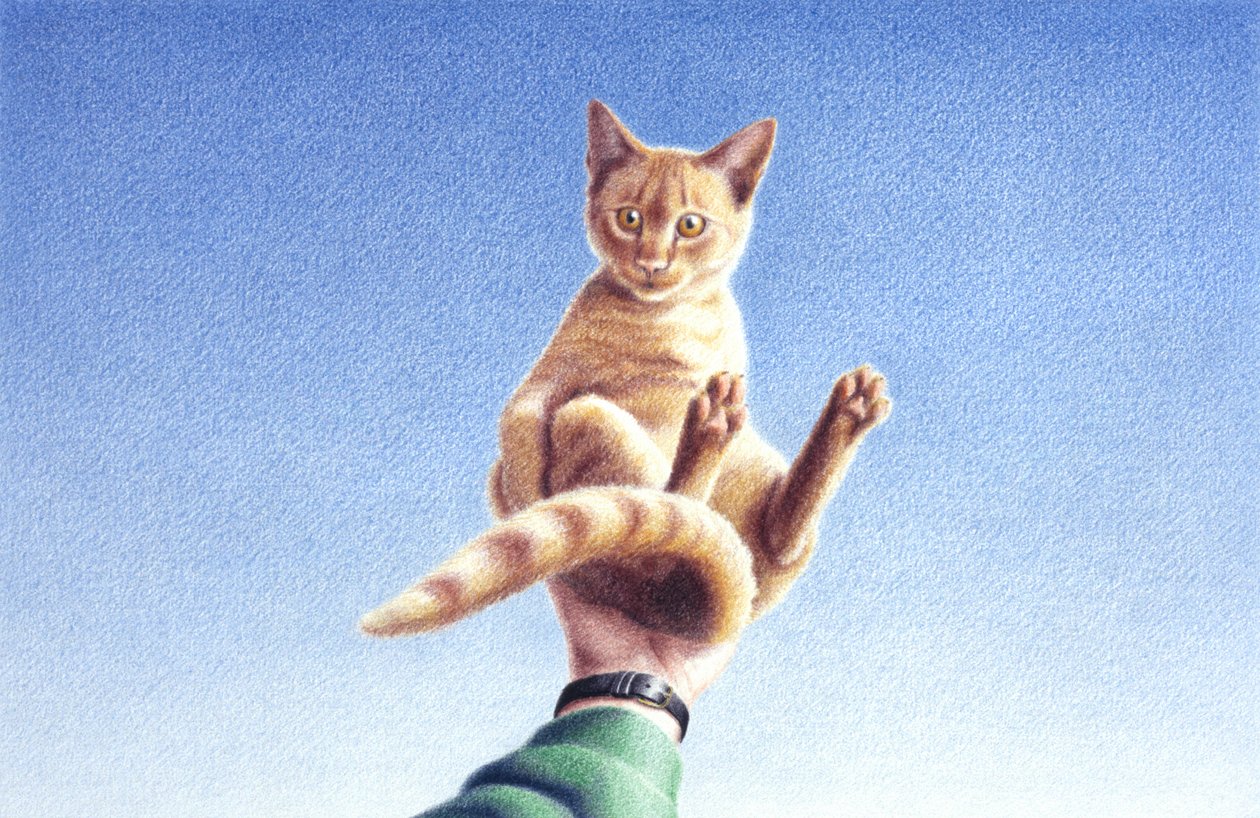 Handfull od Rene Boin