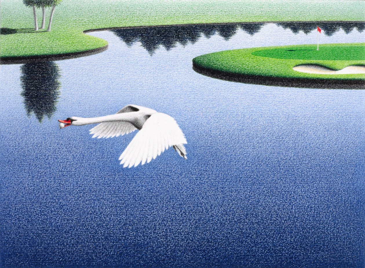 Swanlake od Rene Boin