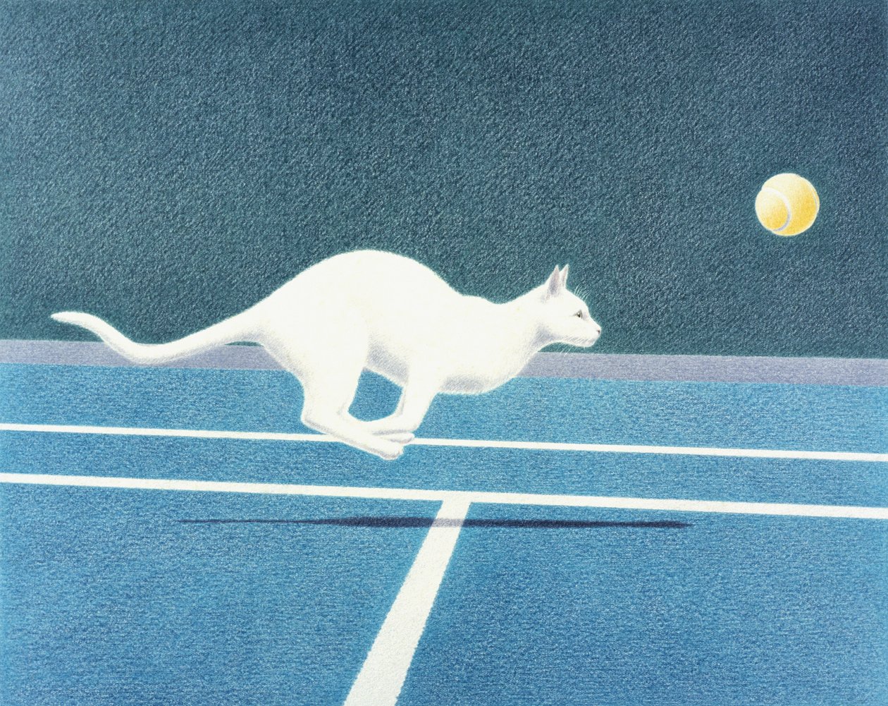 Tenis od Rene Boin