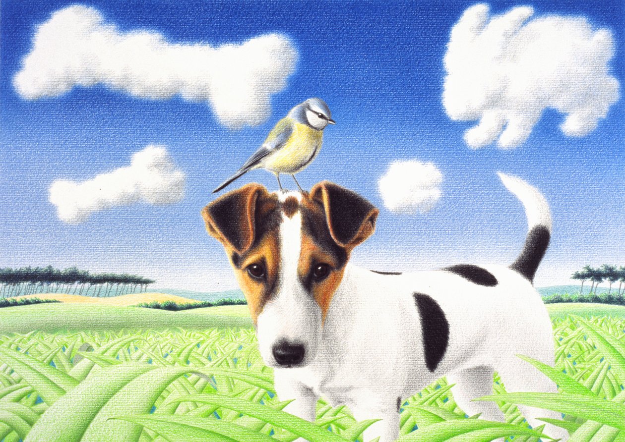 Myšlenky, 2004, Kresba tužkou na papíře od Rene Boin