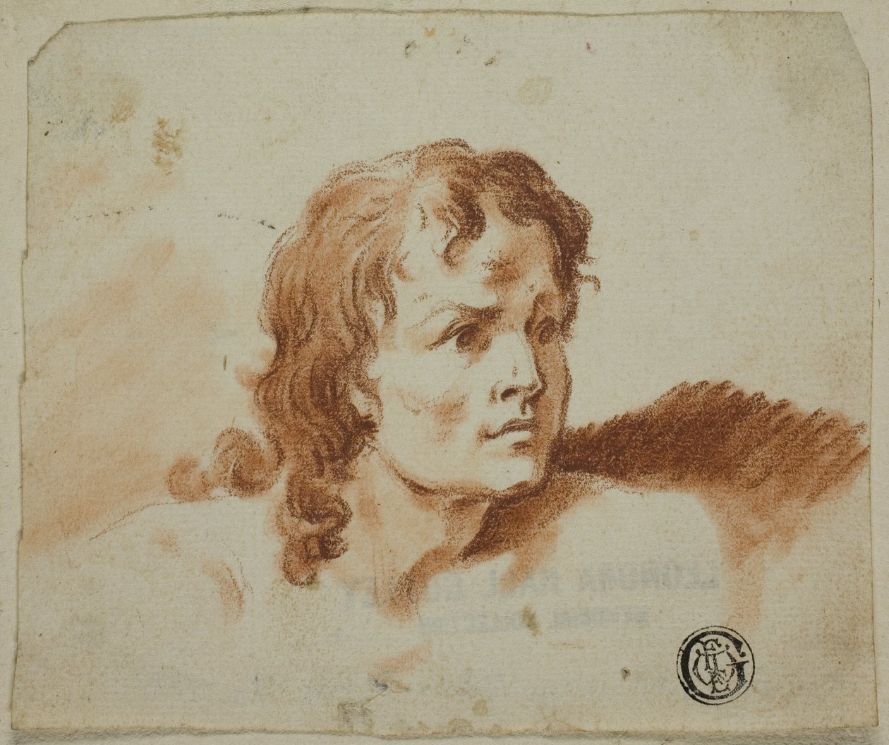Busta mladíka od Rev. Matthew William Peters