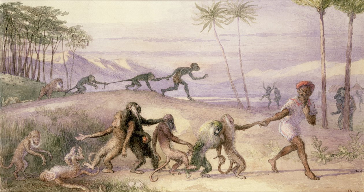 Způsoby a zvyky opic od Richard Doyle