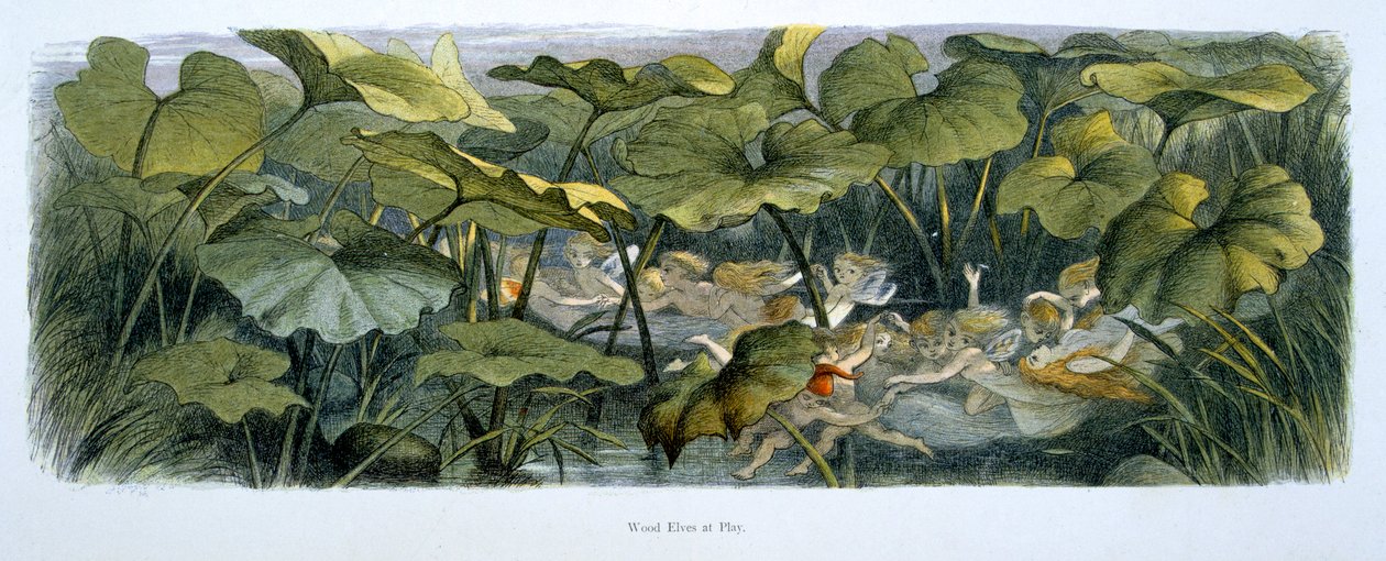 Dřevění elfové ve hře, ilustrace z 