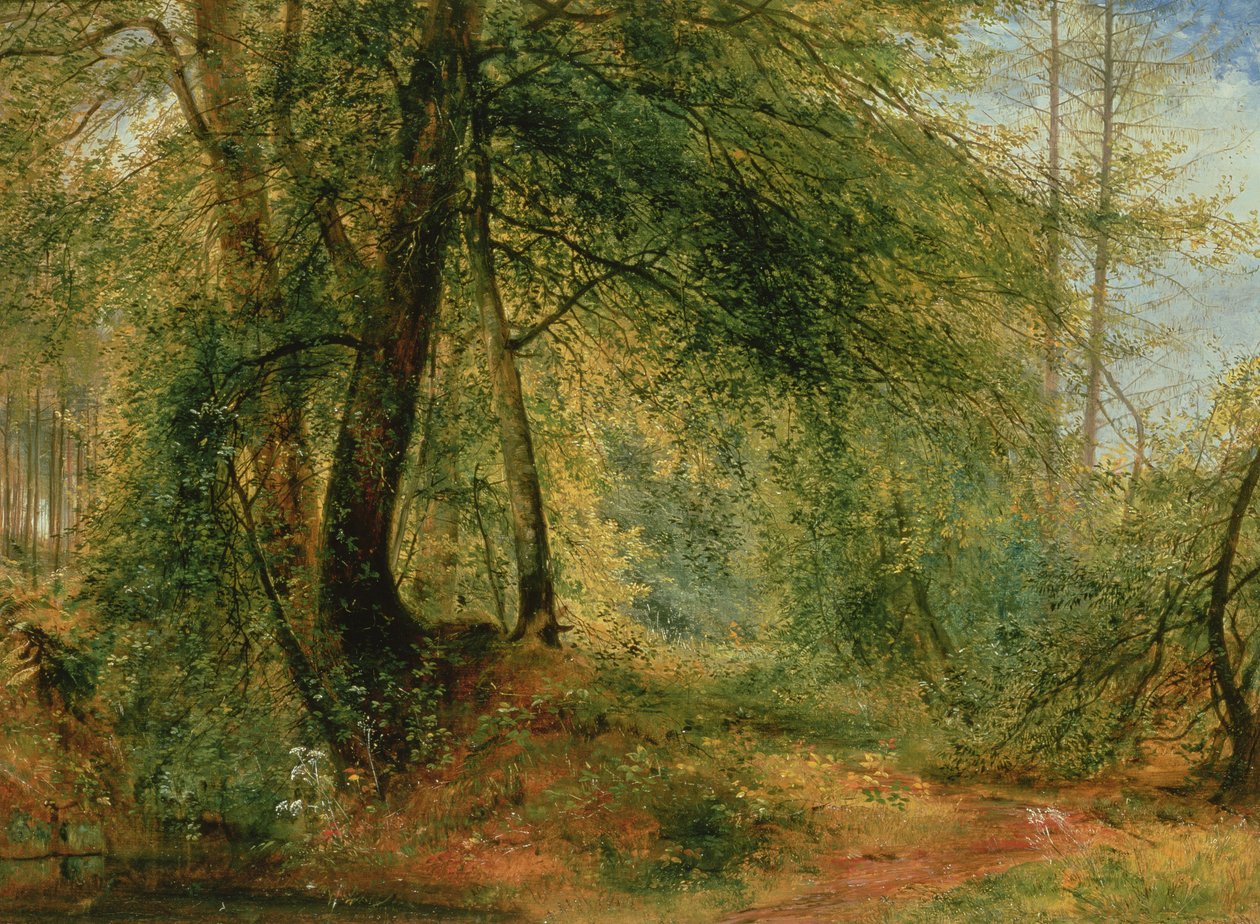 The Woodland Mirror, 19. století od Richard Redgrave